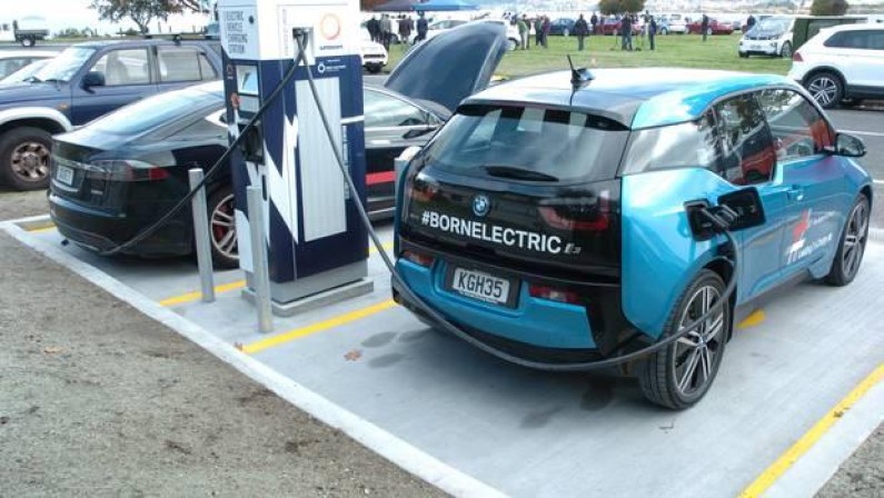 Conservation Comment   Leading the charge for electric cars v2